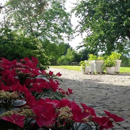 Country House Clos Des Hortensias Blegny エクステリア 写真