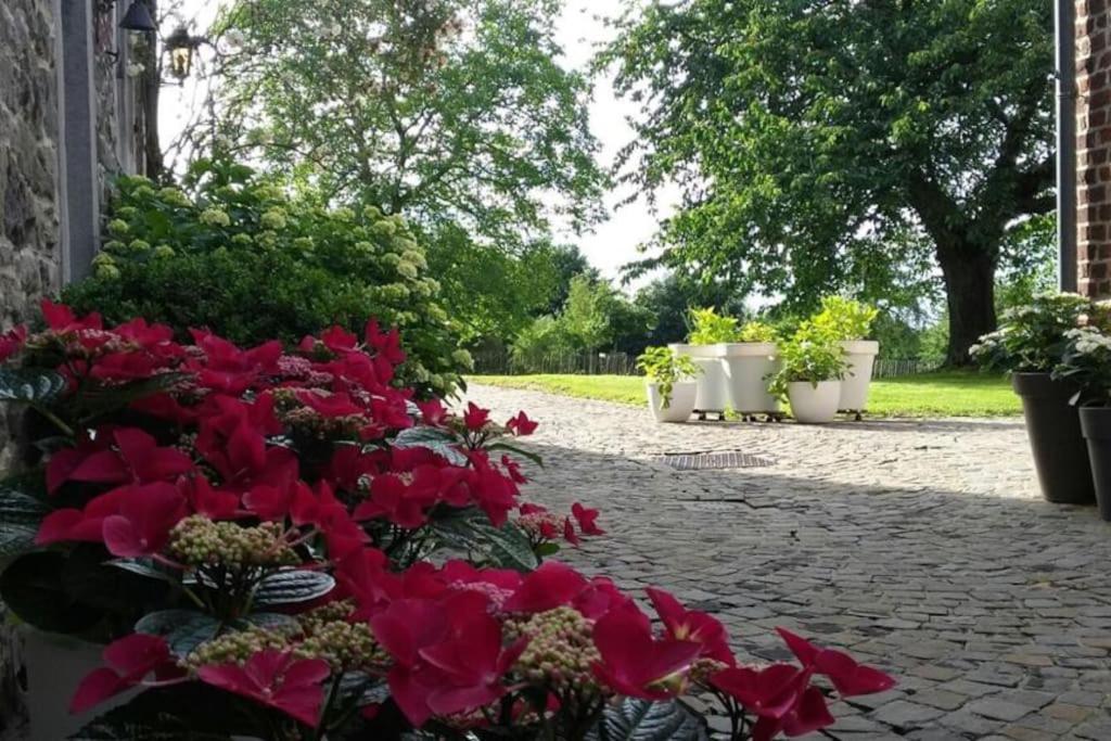 Country House Clos Des Hortensias Blegny エクステリア 写真