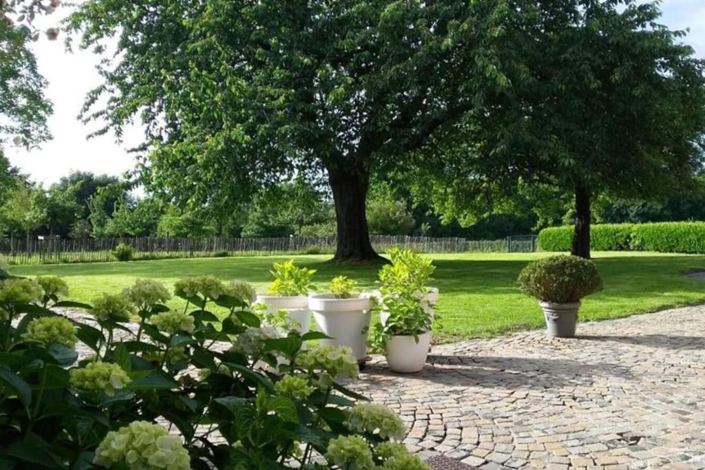 Country House Clos Des Hortensias Blegny エクステリア 写真