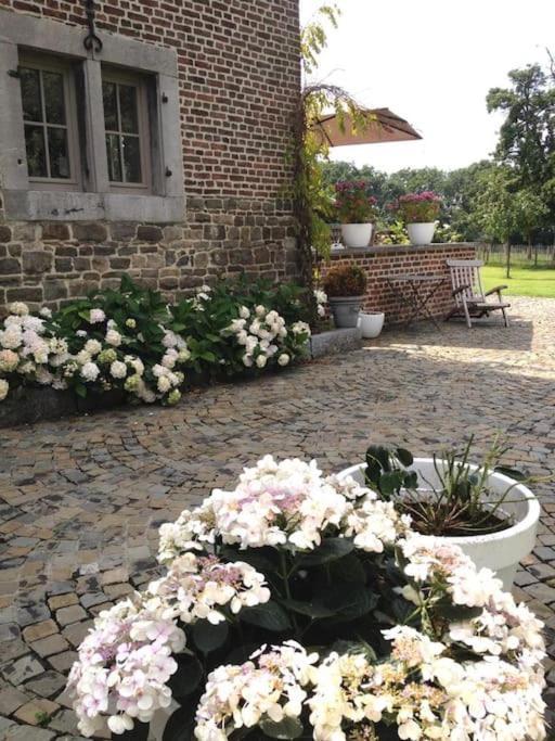 Country House Clos Des Hortensias Blegny エクステリア 写真